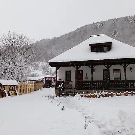 펜션 Casuta Din Rusca