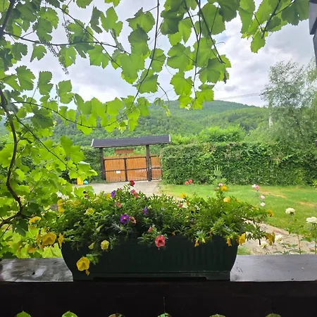 Casuta Din Rusca Sebesu de Jos